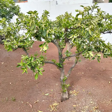 La Casita Nyaraló